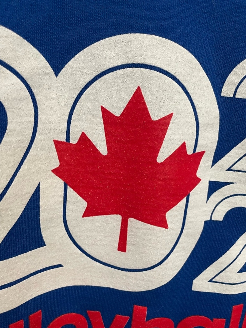 Volleyball Canada Nationals 2022 Royal Blue Hoodie Size Large - Picture 4 of 12